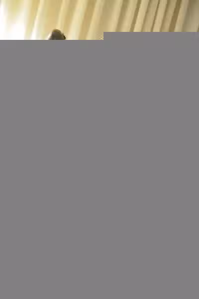 /www/photos18.com/web/images/node/27/274057.avif