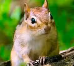 /www/photos18.com/web/images/node/89/896171.avif