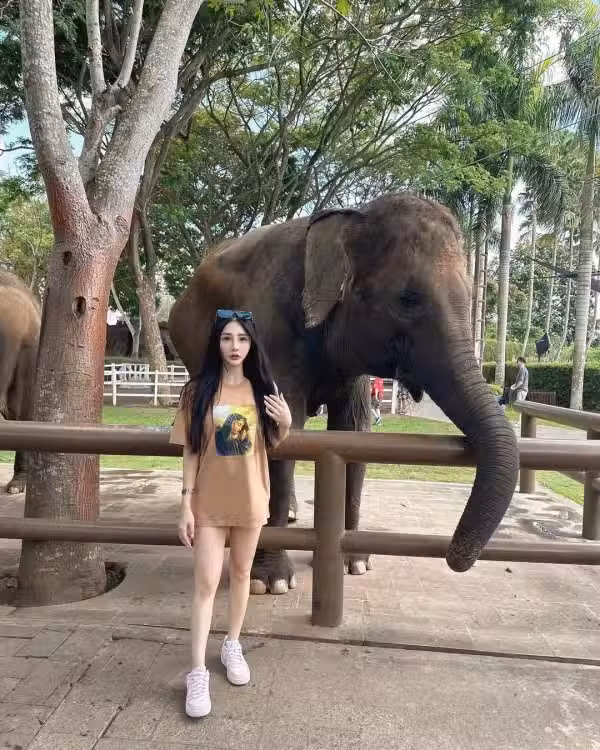 /www/photos18.com/web/images/node/90/905500.avif