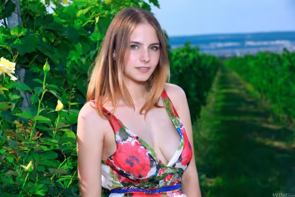 /www/photos18.com/web/images/node/93/932127.avif