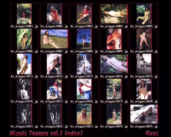 /www/photos18.com/web/images/node/95/950943.avif