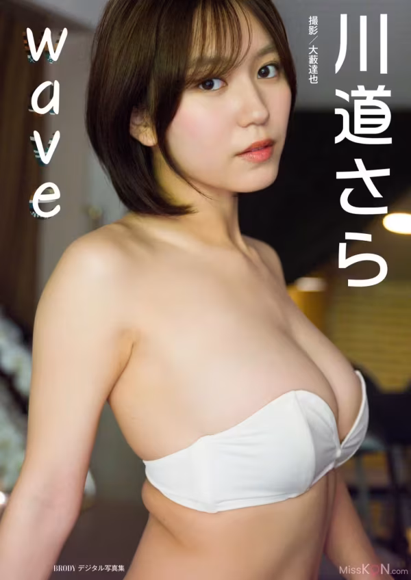 /www/photos18.com/web/images/node/95/958463.avif